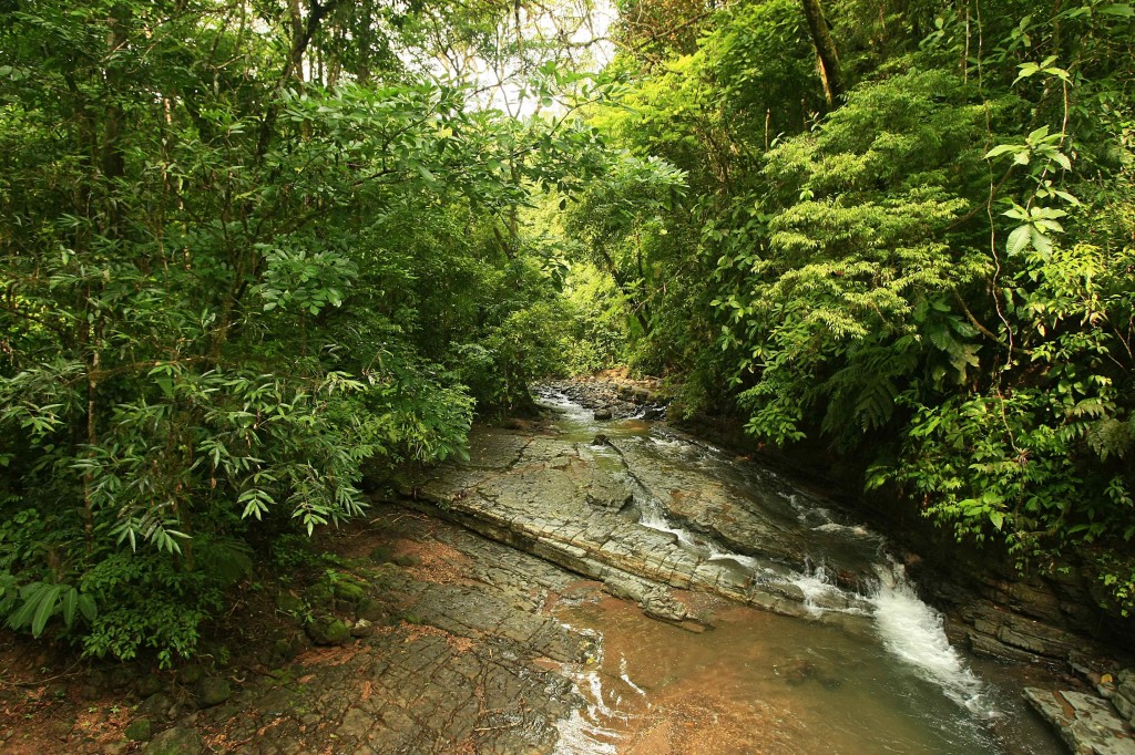     Vista de un sector del parque La Cangreja tomada a unos 80 kilómetros de San José (Costa Rica) EFE