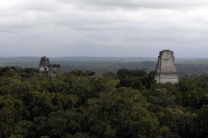 Varios templos  sobresalen de la selva en la antigua ciudad de Tikal, la más grande de las construidas por los mayas del período clásico