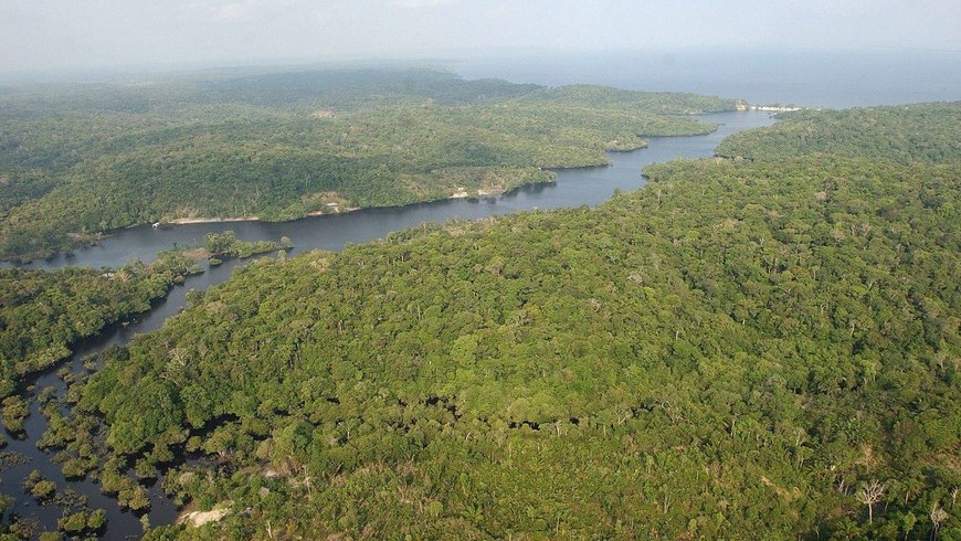 Carbono, Amazonas