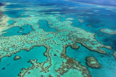 corales_australia